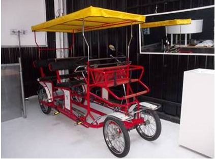 Rickshaw -special bike rental in Milan Italy